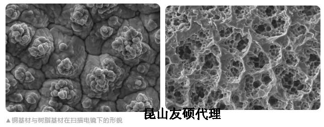 贵港蔡司贵港扫描电镜