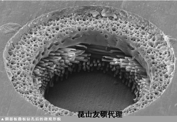 贵港蔡司贵港扫描电镜